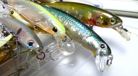 20090313120315_1.jpg 20090313120315_1.jpg