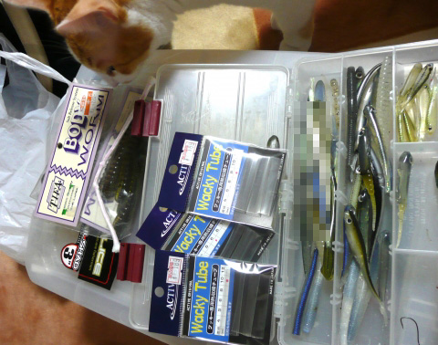 20090614110647_1.jpg 20090614110647_1.jpg