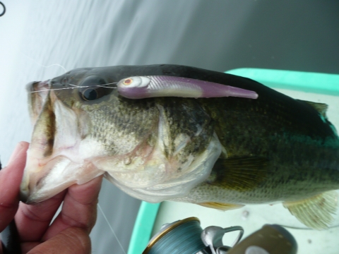 20090617080629_1.jpg 20090617080629_1.jpg