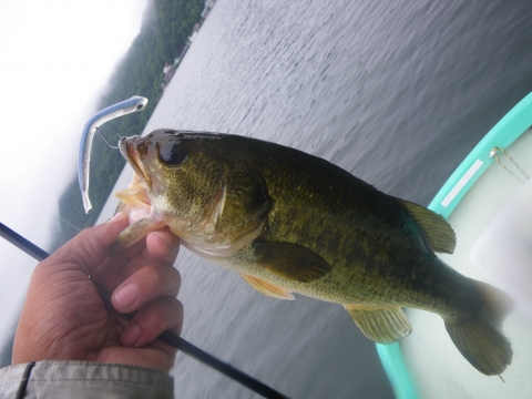 20090702020721_1.jpg 20090702020721_1.jpg