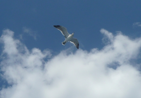 20090924100954_3.jpg 20090924100954_3.jpg