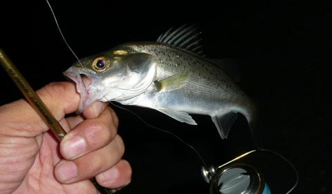 20090924110908_1.jpg 20090924110908_1.jpg