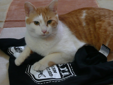 20100322120359_1.jpg 20100322120359_1.jpg