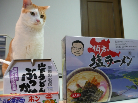 20100330110352_3.jpg 20100330110352_3.jpg