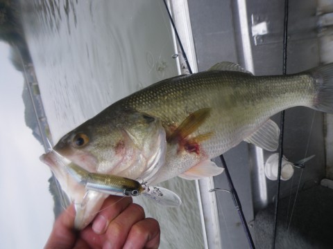 20100409030432_1.jpg 20100409030432_1.jpg