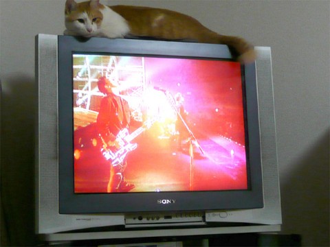 20100409100428_1.jpg 20100409100428_1.jpg