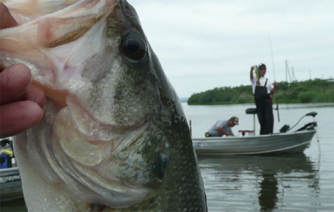 20100629120644_1.jpg 20100629120644_1.jpg