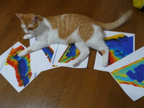 20100729110733_1.jpg 20100729110733_1.jpg