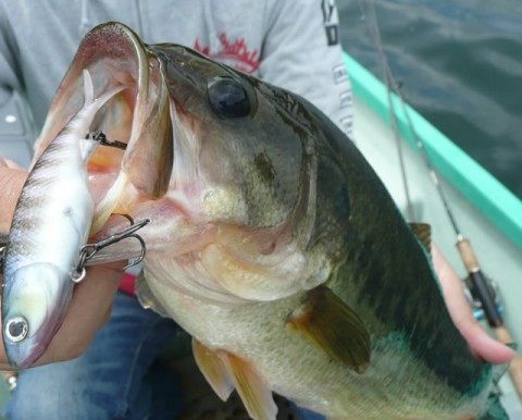 20100922090910_1.jpg 20100922090910_1.jpg