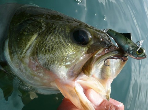 20100922090929_1.jpg 20100922090929_1.jpg