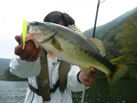 20101124011111_1.jpg 20101124011111_1.jpg