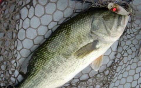 20101221111216_1.jpg 20101221111216_1.jpg