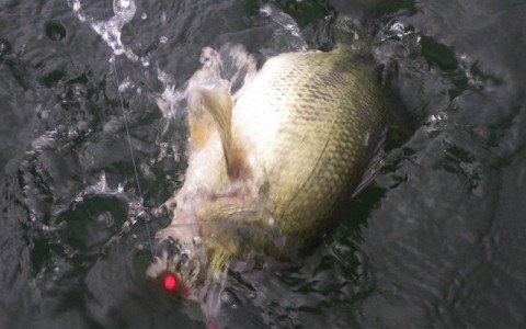 20101221111216_3.jpg 20101221111216_3.jpg