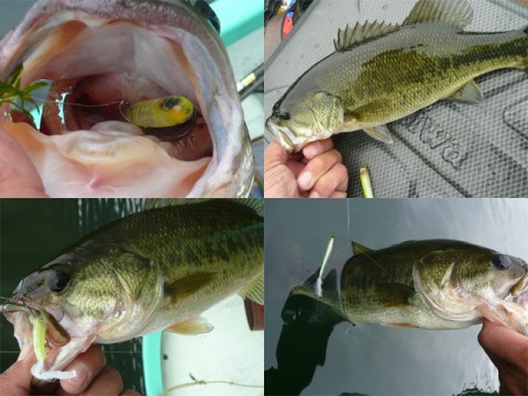 20101221111226_1.jpg 20101221111226_1.jpg