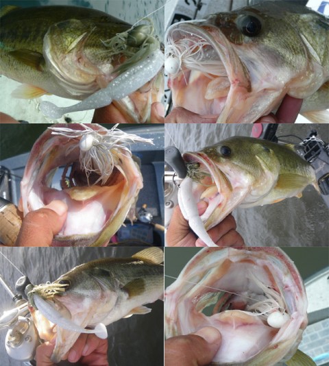 20101221111227_1.jpg 20101221111227_1.jpg