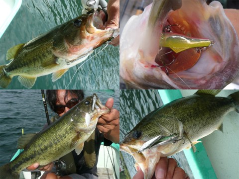 20101221111247_1.jpg 20101221111247_1.jpg