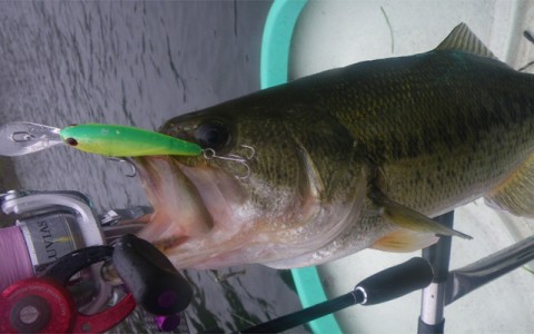 20101221111255_2.jpg 20101221111255_2.jpg